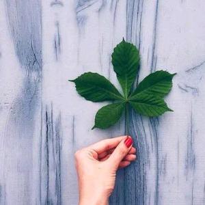 🌻快乐每一天🐝头像