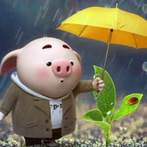 🧚‍♀️枣以心动🌼头像