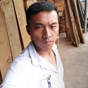 有波缅甸金丝楠，黄金樟，毛料批发头像