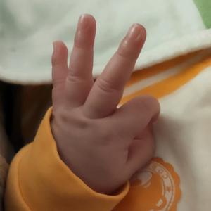 大宝de小宝头像