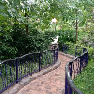 可靠的墨笛👌头像