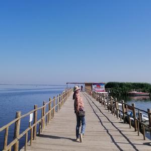 じòぴé玲ル头像