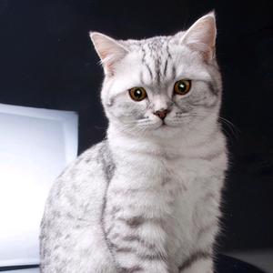 与你聊不完的曾经头像