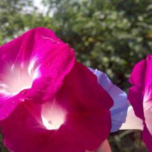 缘汁缘味酒家头像