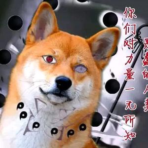 一起去南极吧头像