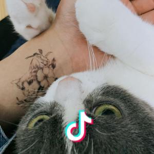 阿布布布布布头像