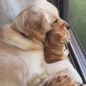 哈哈哈要删掉吗头像