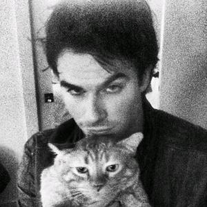 Damon Salvatore头像