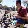 大柱头像