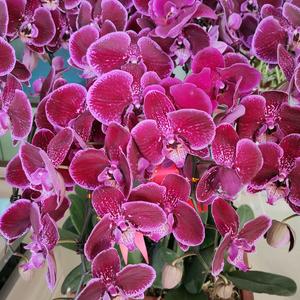 快乐加速度头像