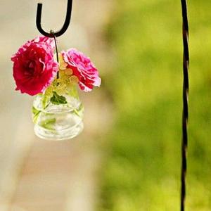 四姑娘[请勿连赞]头像