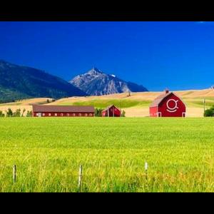 中国第一农牧场头像