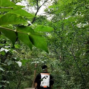 二瑶搁哪呢头像