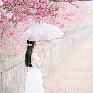 仙女落凡陈头像
