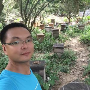 夏双-继箱养中蜂头像