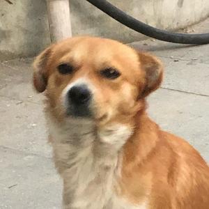 心空_Heartsky头像