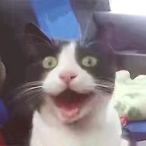 南宁森雷乐器维修头像