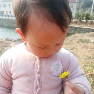 金太阳幼儿园头像