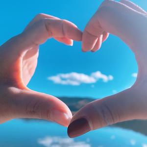 何以解忧，唯有努力。头像