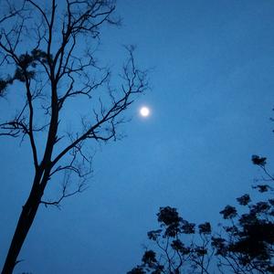 行之—善护念头像