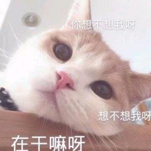 米凯拉的锋刃头像