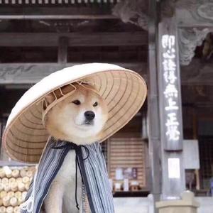 高矮胖瘦呀头像