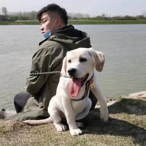 铁憨憨小九头像