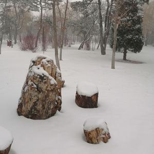 小小（拒聊）头像