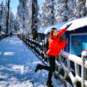 香菇煎肉饼🦐头像