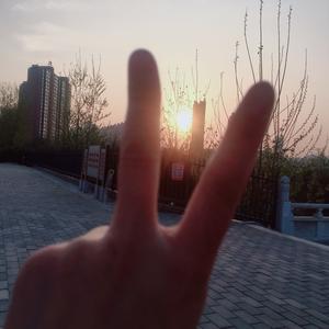 💕暖心☘️向阳头像