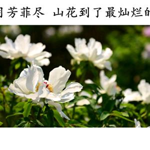 用户6338729032627萱萱头像