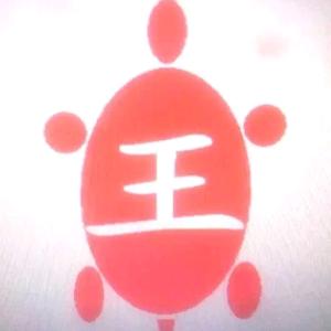 三王龟舍头像