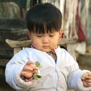 元宝小疙瘩儿头像