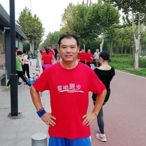 会飞的大象头像