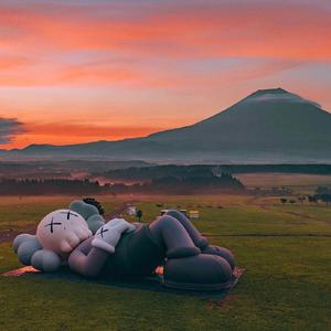 骑着小猪狂奔头像