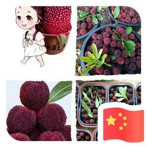 用户12690600777头像