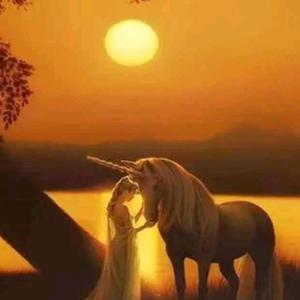 S（吉祥如意）头像