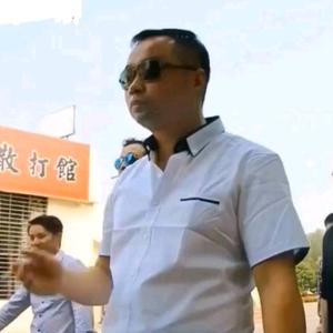 闪闪的红星鸽头像