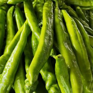 土豆（拒聊）头像