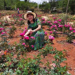 红河的月亮头像