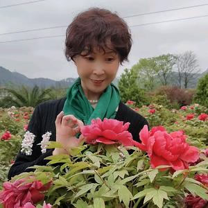 琴(拒合拍)头像