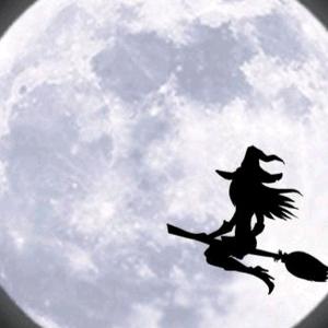 来给生活加点料🌾头像