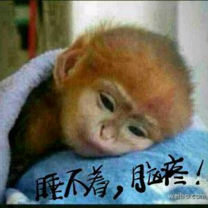 西伯利亚/饿狼头像