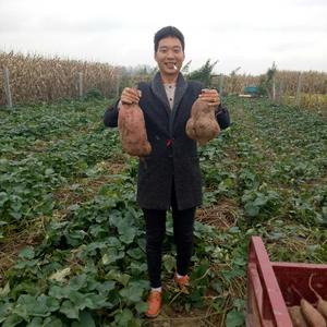 上蔡东洪贾高尚头像