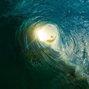 你才是大鱼头像