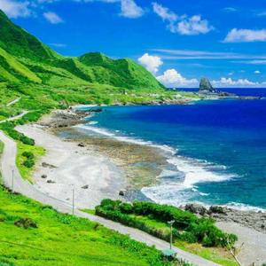 浪漫樱花950头像