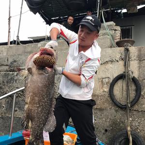 大杨（深海刺身鱼）头像