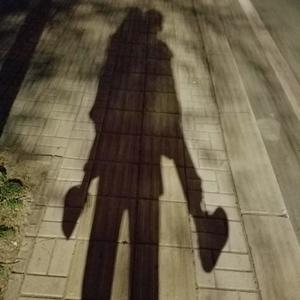 游侠园园（宿说开封）头像