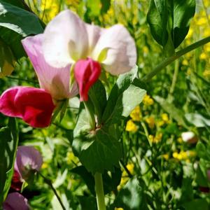 易哥（时间去哪儿）头像