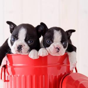 森哥讲故事头像